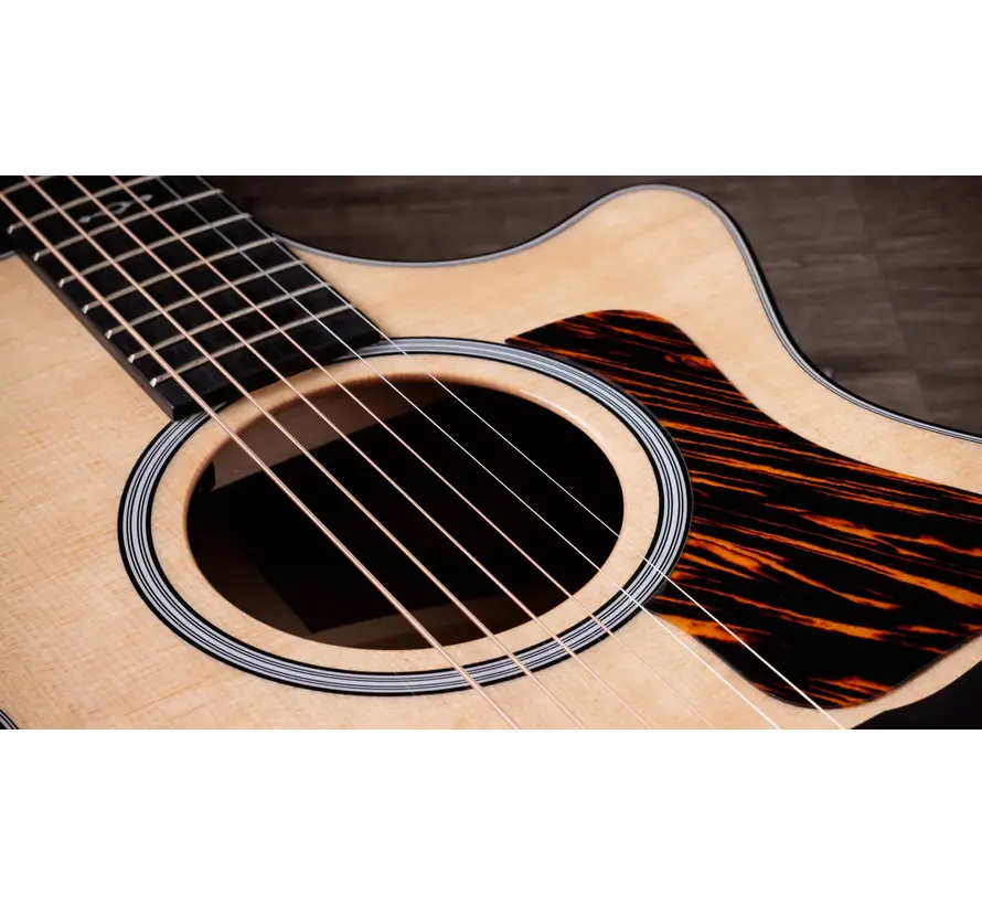Taylor 312ce Next Generation