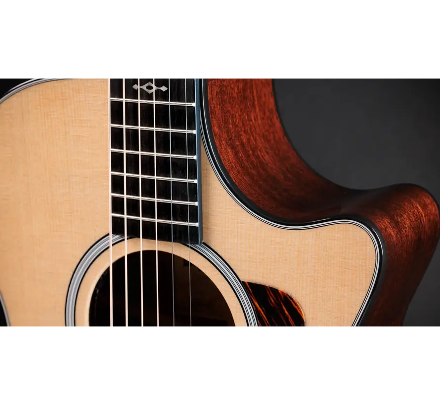 Taylor 312ce Next Generation