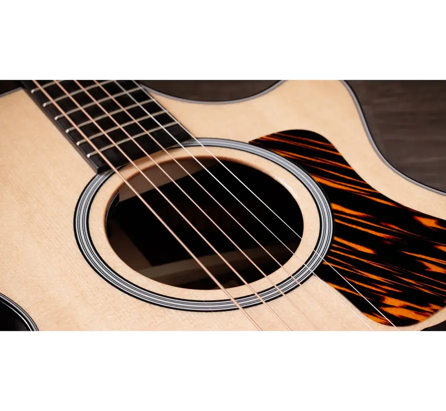 Taylor 412ce Next Generation