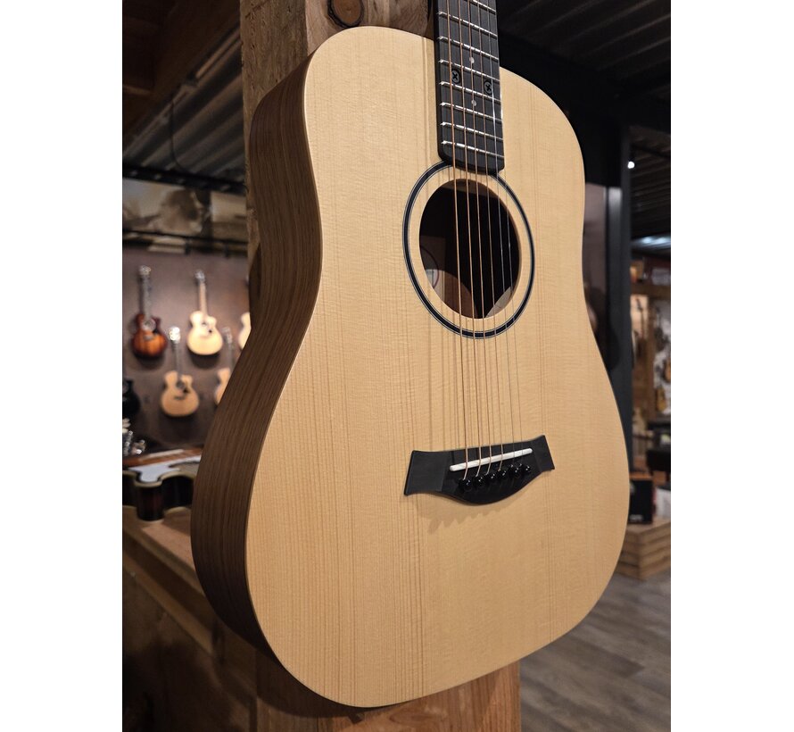 Taylor BT1 | Tweedehands