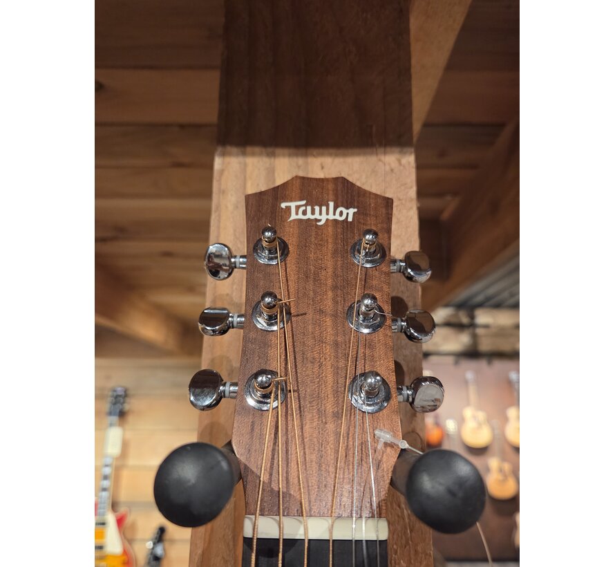 Taylor BT1 | Tweedehands