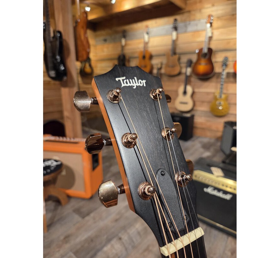 Taylor 224ce-K DLX | Tweedehands