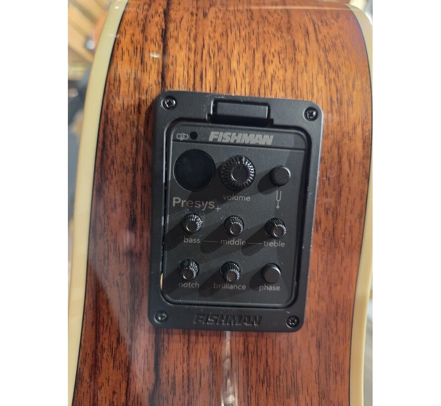 Richwood D-60-CE | Master Series | Tweedehands