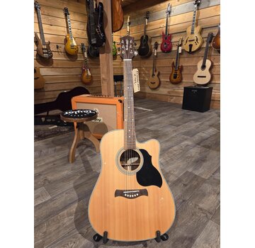 Richwood Richwood D-60-CE | Tweedehands