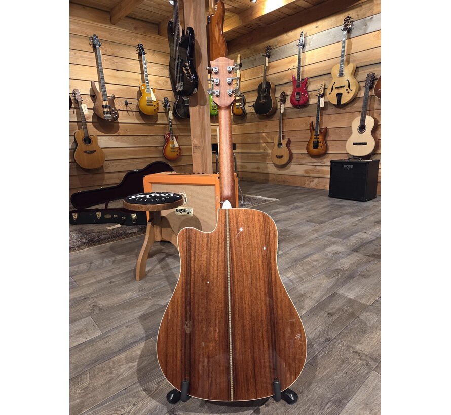 Richwood D-60-CE | Master Series | Tweedehands