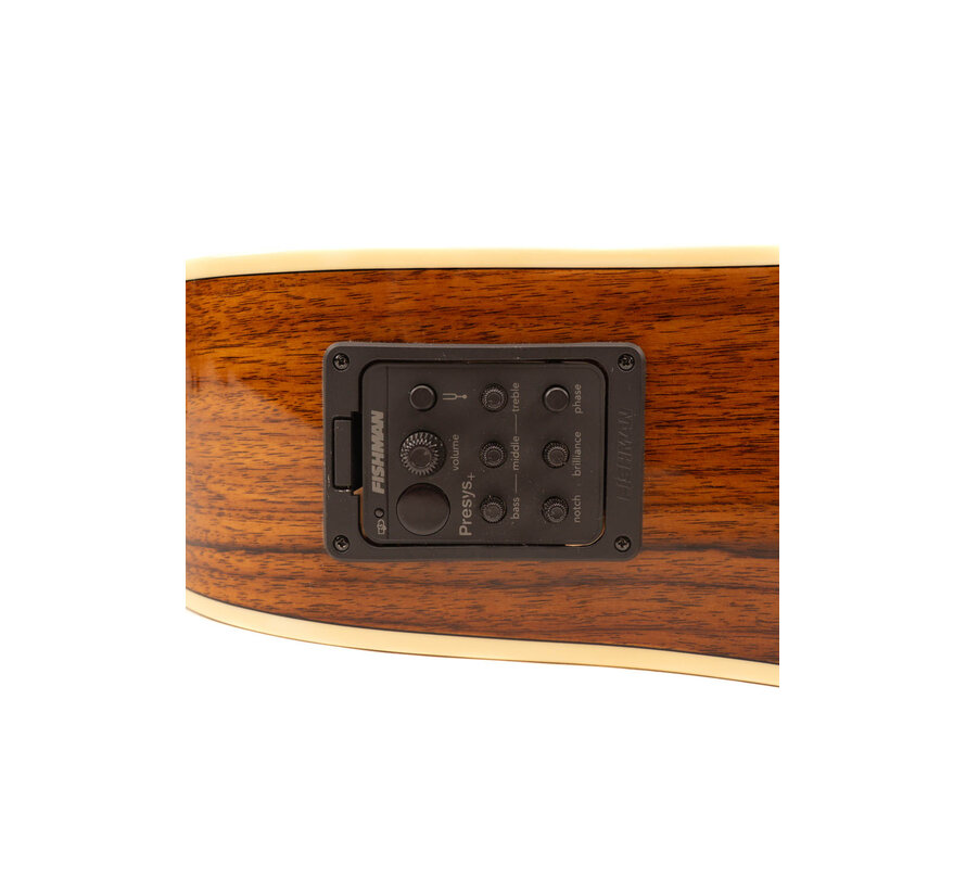 Richwood D-60-CE | Master Series | Tweedehands