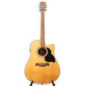 Richwood Richwood D-60-CE | Tweedehands