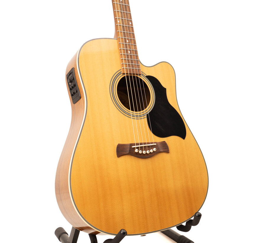 Richwood D-60-CE | Master Series | Tweedehands
