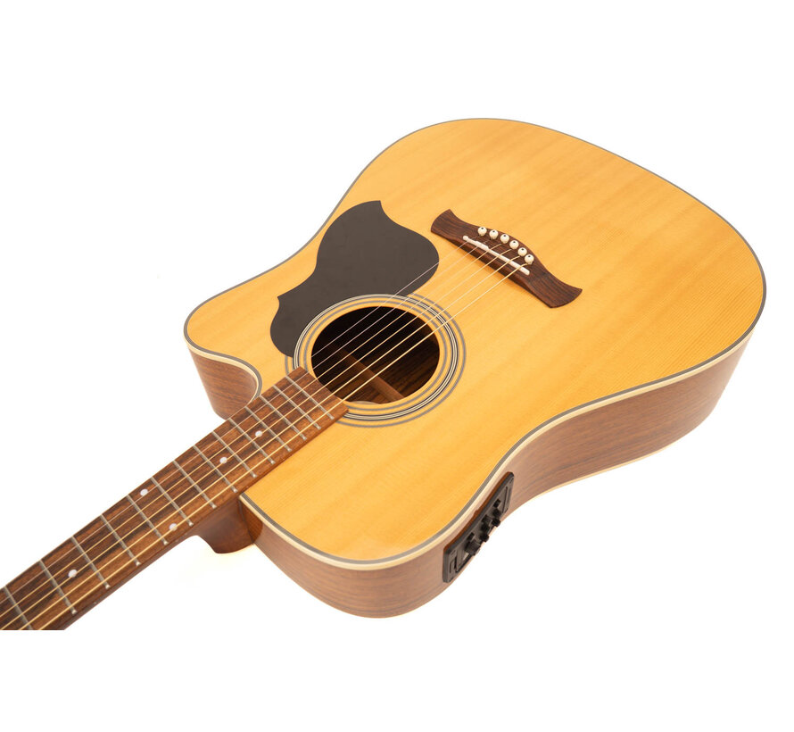 Richwood D-60-CE | Master Series | Tweedehands