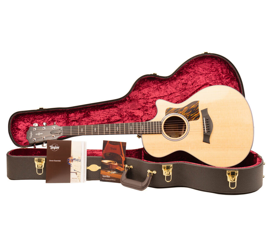 Taylor 312ce Next Generation