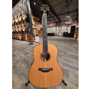Taylor Taylor Builders Edition 717e | Tweedehands | Bouwjaar 2019