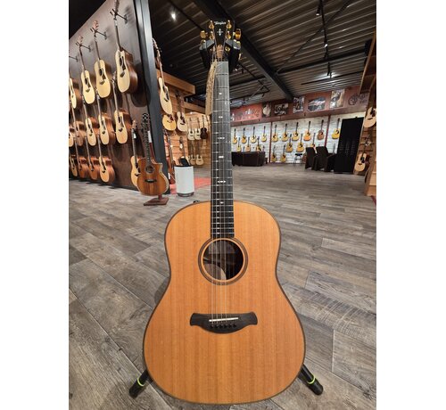 Taylor Taylor Builders Edition 717e | Tweedehands | Bouwjaar 2019