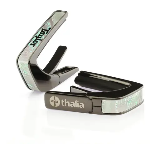 Taylor Taylor Mother of Pearl Logo | Capo By Thalia