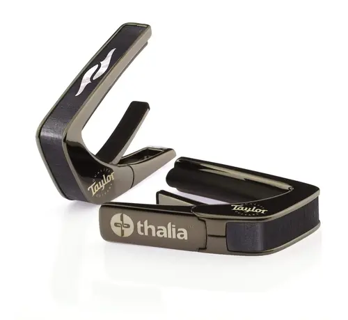 Taylor Taylor 800 Series Element Black Chrome | Capo By Thalia