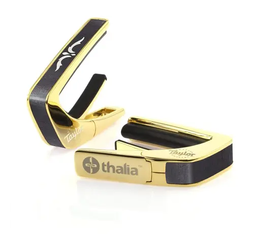 Taylor Taylor 900 Series Ascension 24K Gold | Capo By Thalia