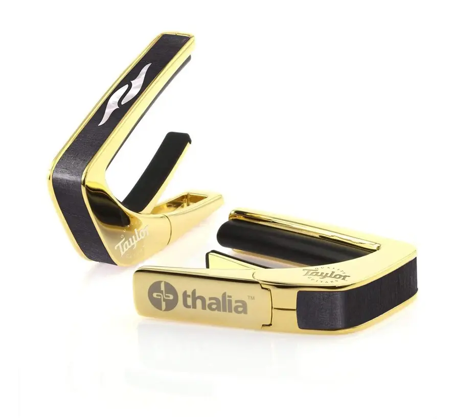 Taylor 800 Series Element 24K Gold | Capo By Thalia