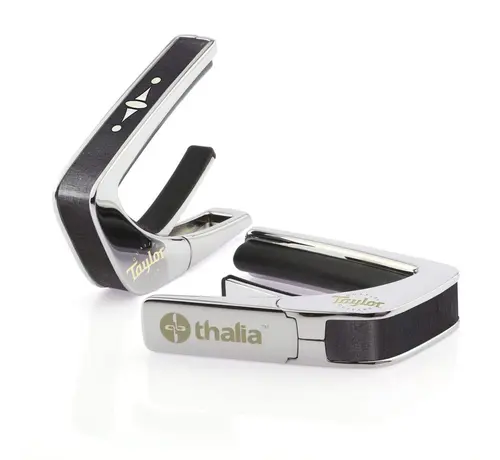 Taylor Taylor 500 Series Century Chrome | Capo By Thalia