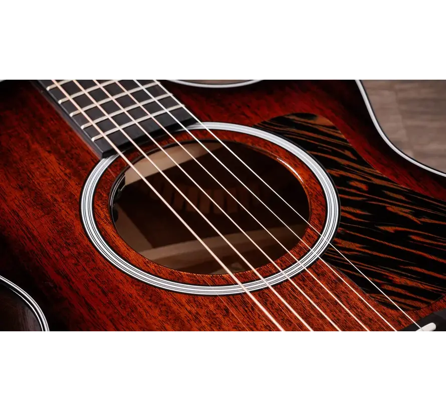 Taylor 322ce Next Generation