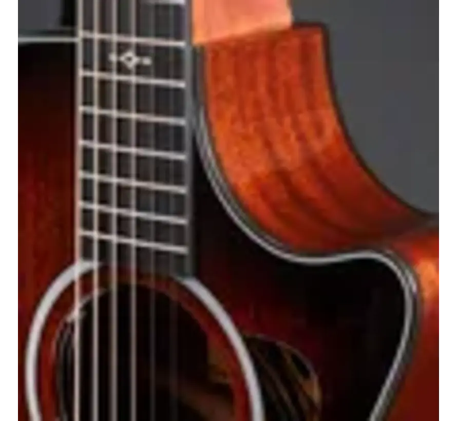 Taylor 322ce Next Generation