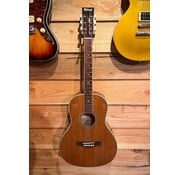 Richwood Richwood RV-70 NT + pickup systeem | Tweedehands