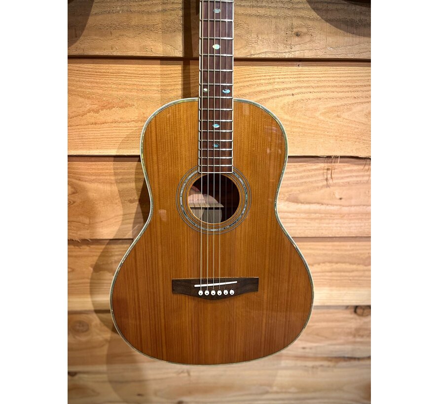 Richwood RV-70 NT + pickup systeem | Tweedehands