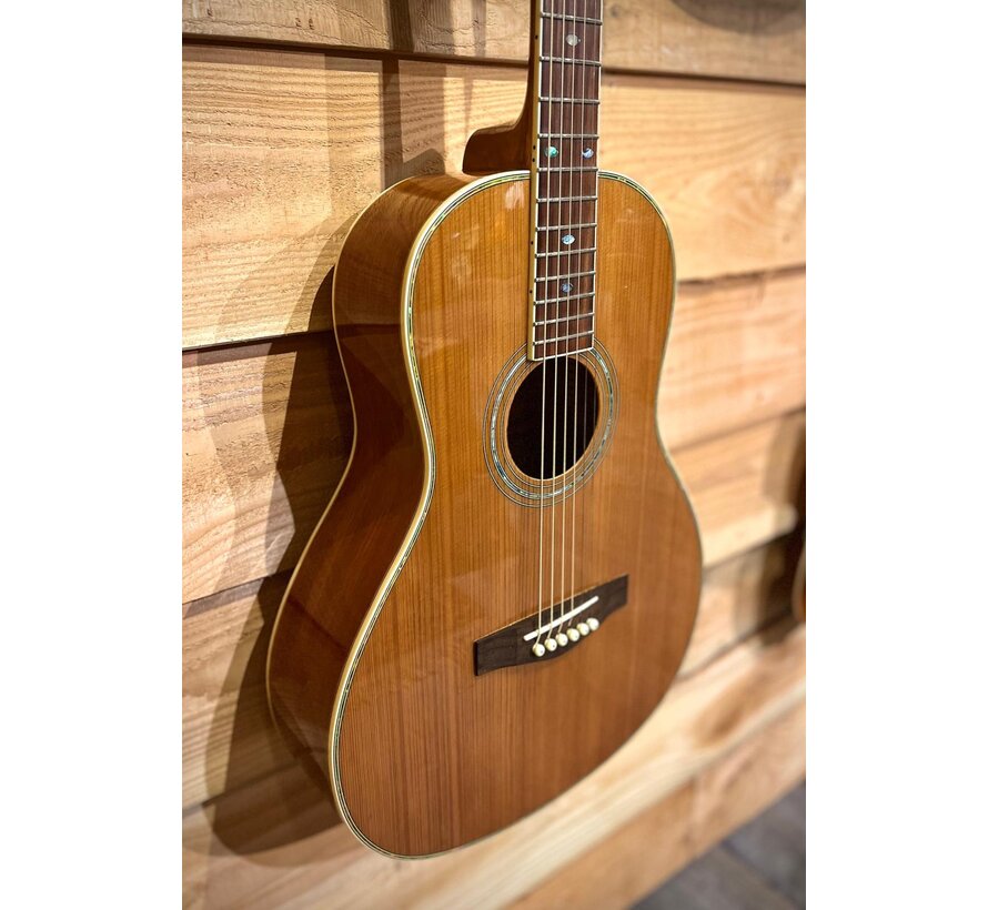 Richwood RV-70 NT + pickup systeem | Tweedehands