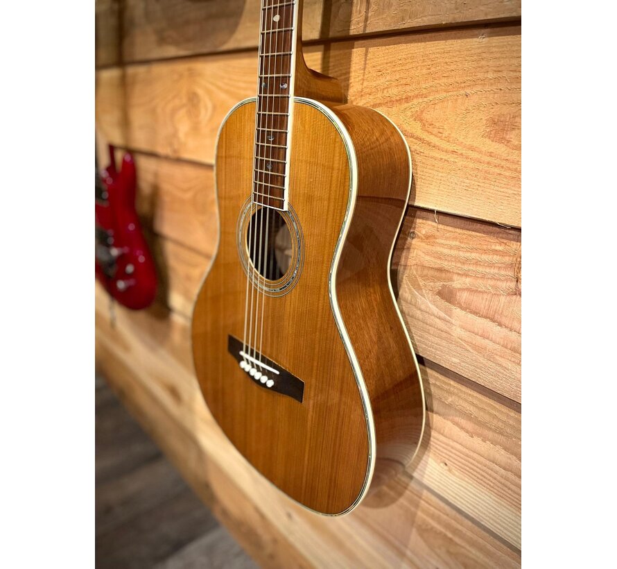 Richwood RV-70 NT + pickup systeem | Tweedehands