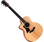Taylor 14ce | Sapele | Linkshandig
