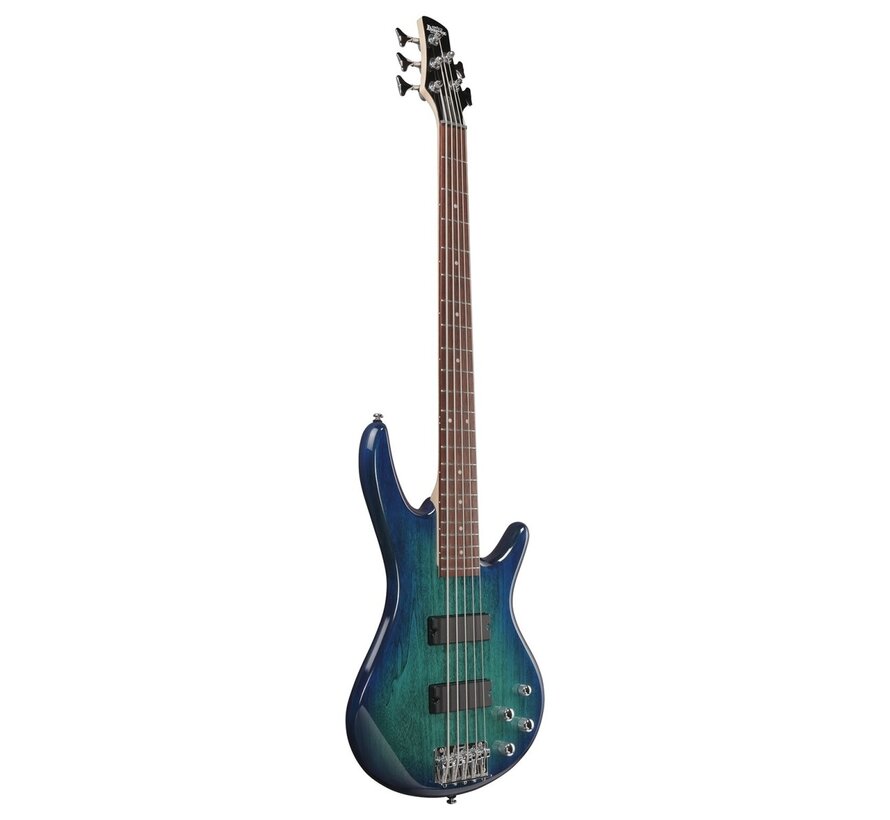 Ibanez GSR205 GIO SR 5 String, Blue Moon Burst