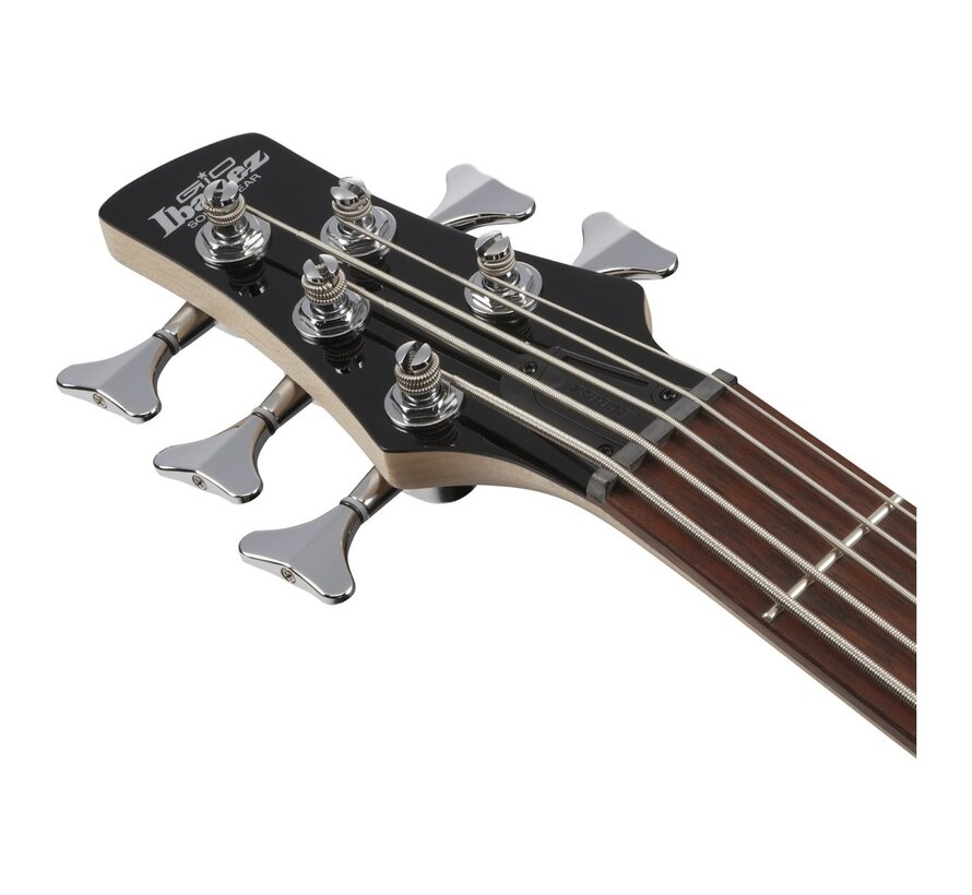 Ibanez GSR205 GIO SR 5 String, Blue Moon Burst