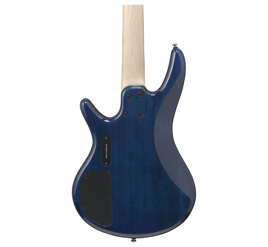 Ibanez GSR205 GIO SR 5 String, Blue Moon Burst