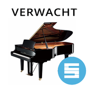 Yamaha Yamaha C2X SH Silent Vleugel | 2015