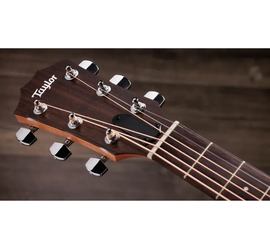Taylor 117e Special Edition | Dark Tobacco Teardrop Burst