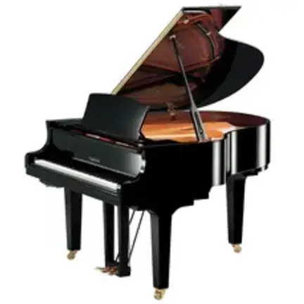 Yamaha C2 Vleugel