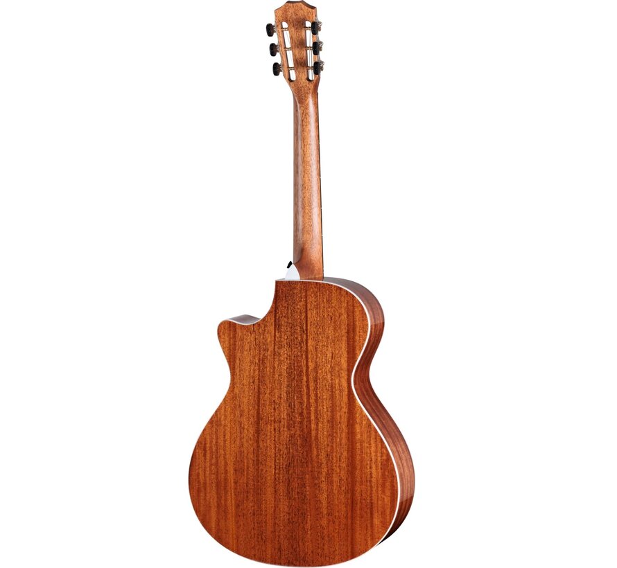 Taylor 512ce 12-Fret | Next Generation