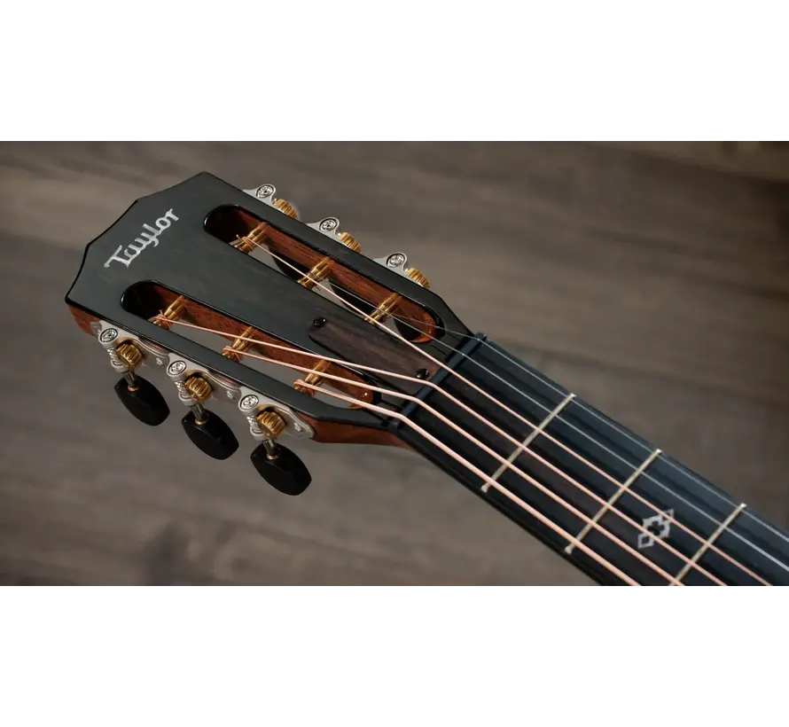 Taylor 512ce 12-Fret | Next Generation