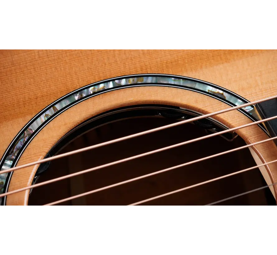 Taylor 512ce 12-Fret | Next Generation