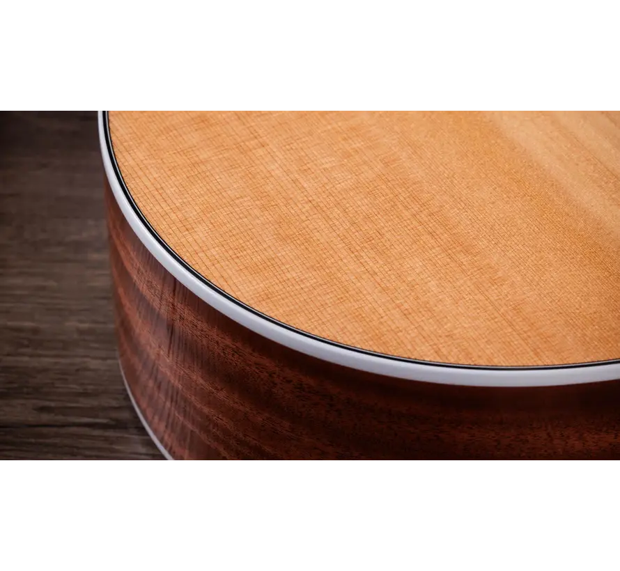 Taylor 512ce 12-Fret | Next Generation