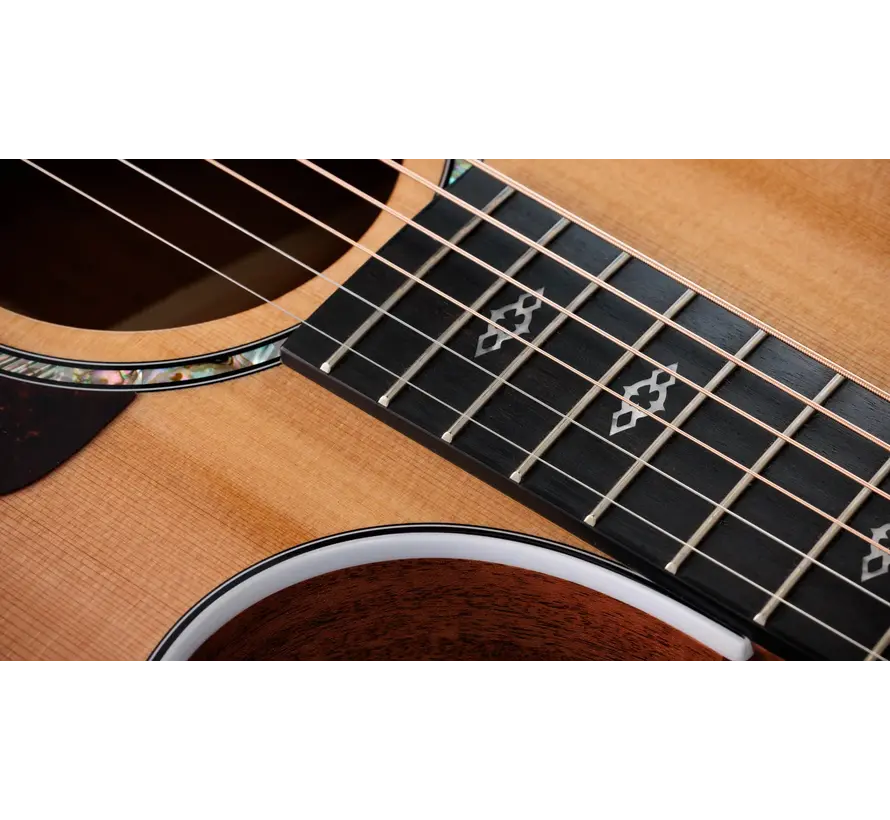 Taylor 512ce 12-Fret | Next Generation