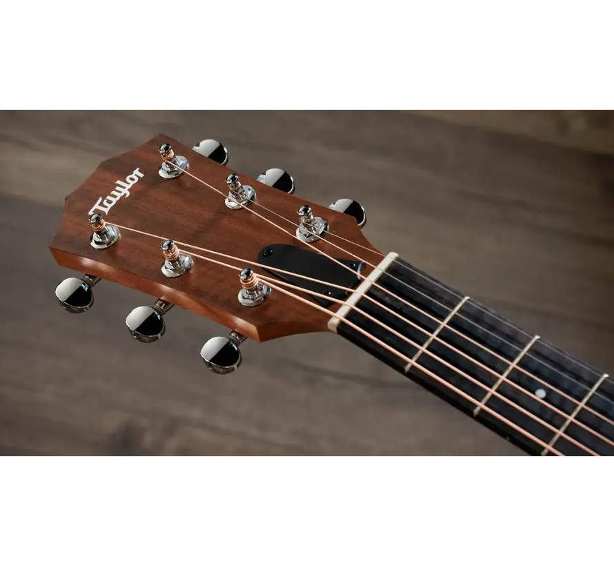 Taylor Sunset Blvd 24ce Edgeburst