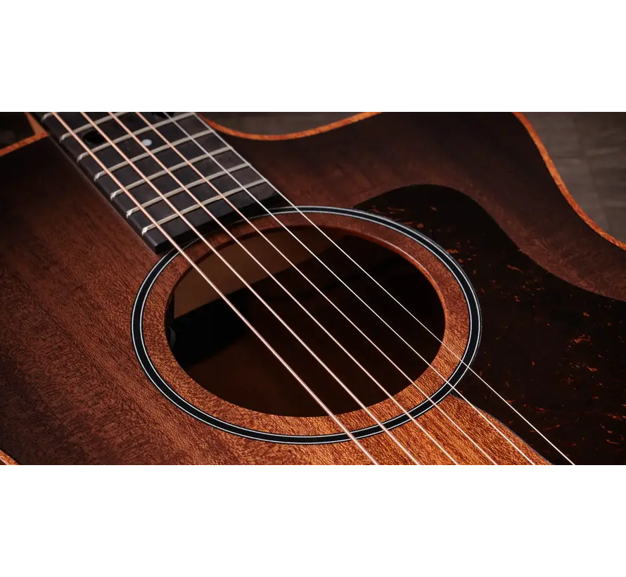 Taylor Sunset Blvd 24ce Edgeburst