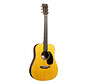 Martin & Co | Dreadnought Jr E Walnut