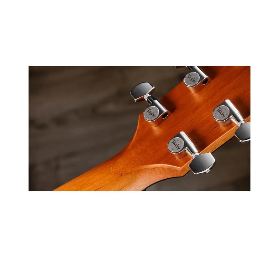 Taylor 614ce Next Generation