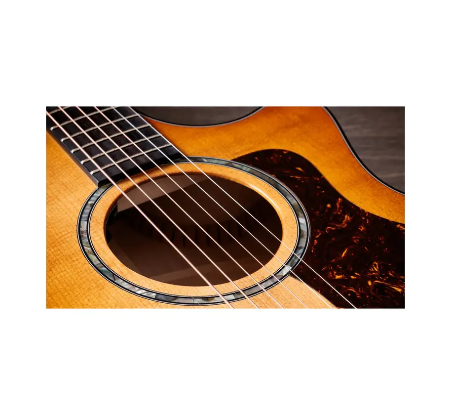 Taylor 614ce Next Generation