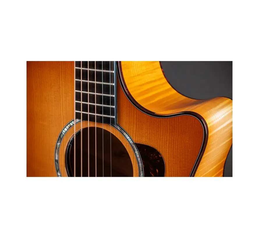 Taylor 614ce Next Generation