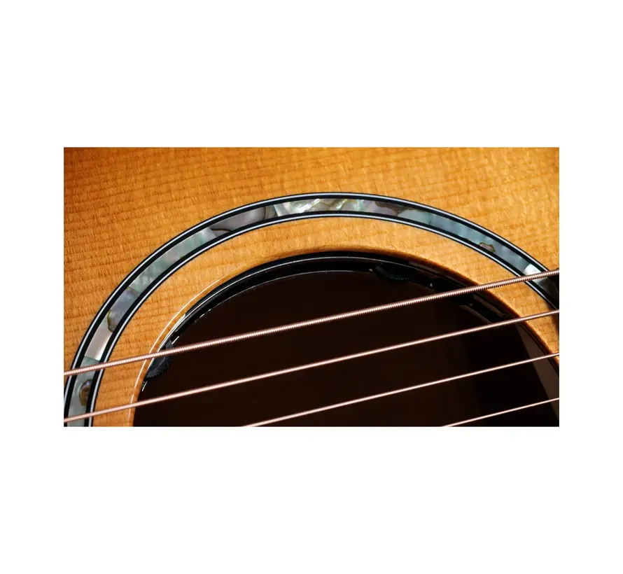Taylor 614ce Next Generation