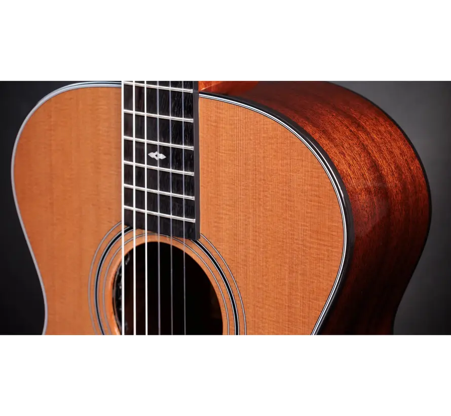 Taylor 312e-N Sunset Blvd