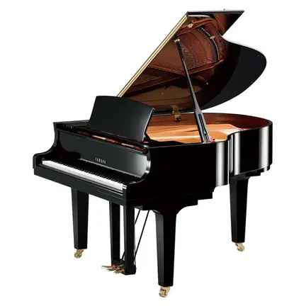 Yamaha C1X Vleugel