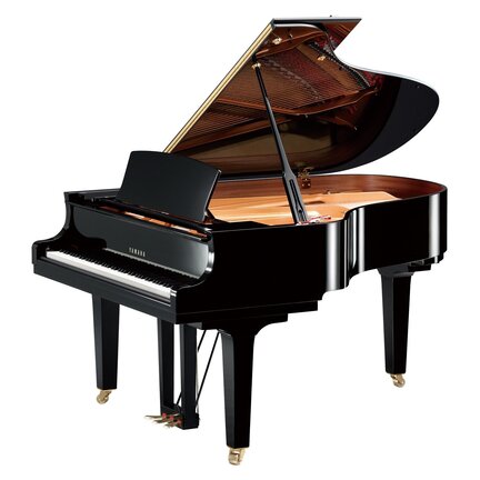 Yamaha C3X Vleugel