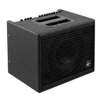 Udo Amps Akoestische Gitaar Versterker Huren